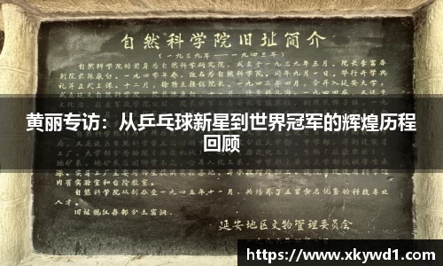 黄丽专访：从乒乓球新星到世界冠军的辉煌历程回顾