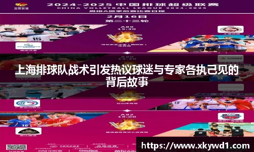 上海排球队战术引发热议球迷与专家各执己见的背后故事