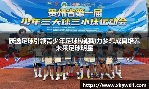 辰逸足球引领青少年足球热潮助力梦想成真培养未来足球明星